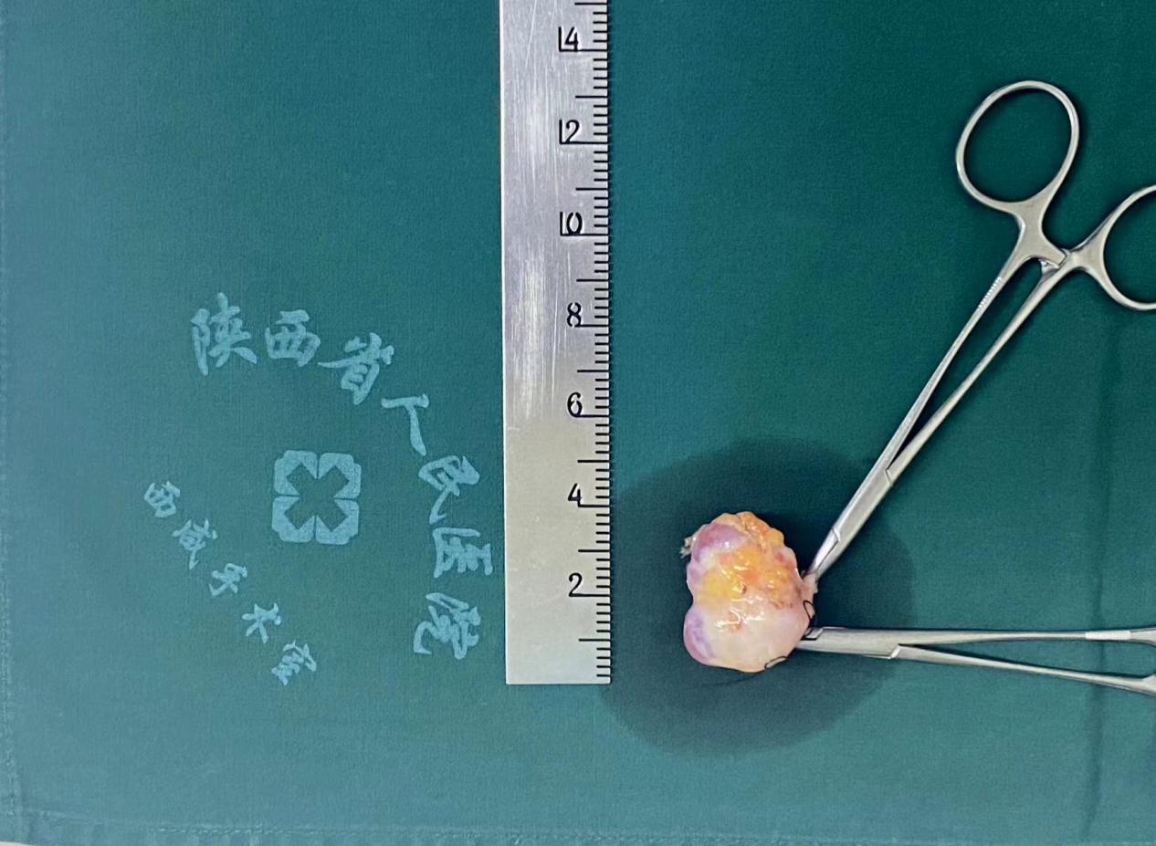 微信图片_20240424092849 微信图片_20240424092849