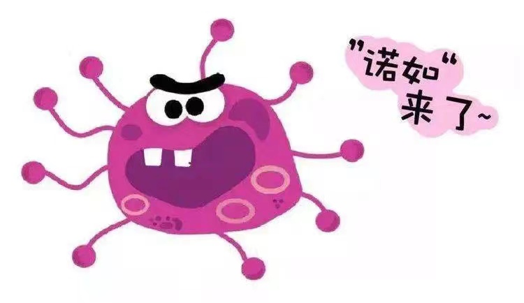 5d6753754bb9b6c1e9816362bcdd04e 5d6753754bb9b6c1e9816362bcdd04e