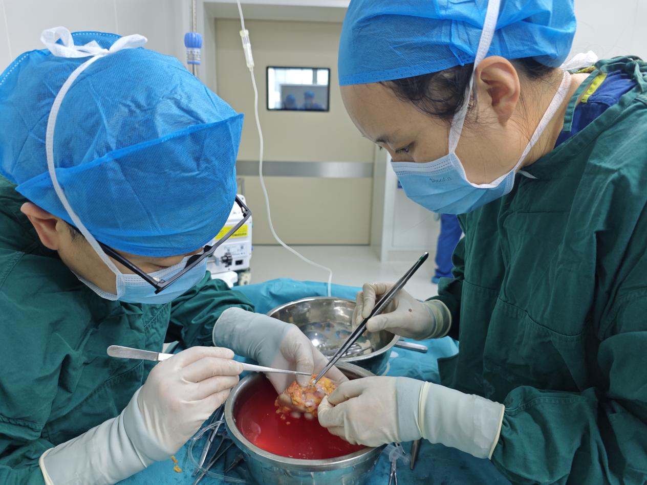 IMG_20240423_142550 IMG_20240423_142550