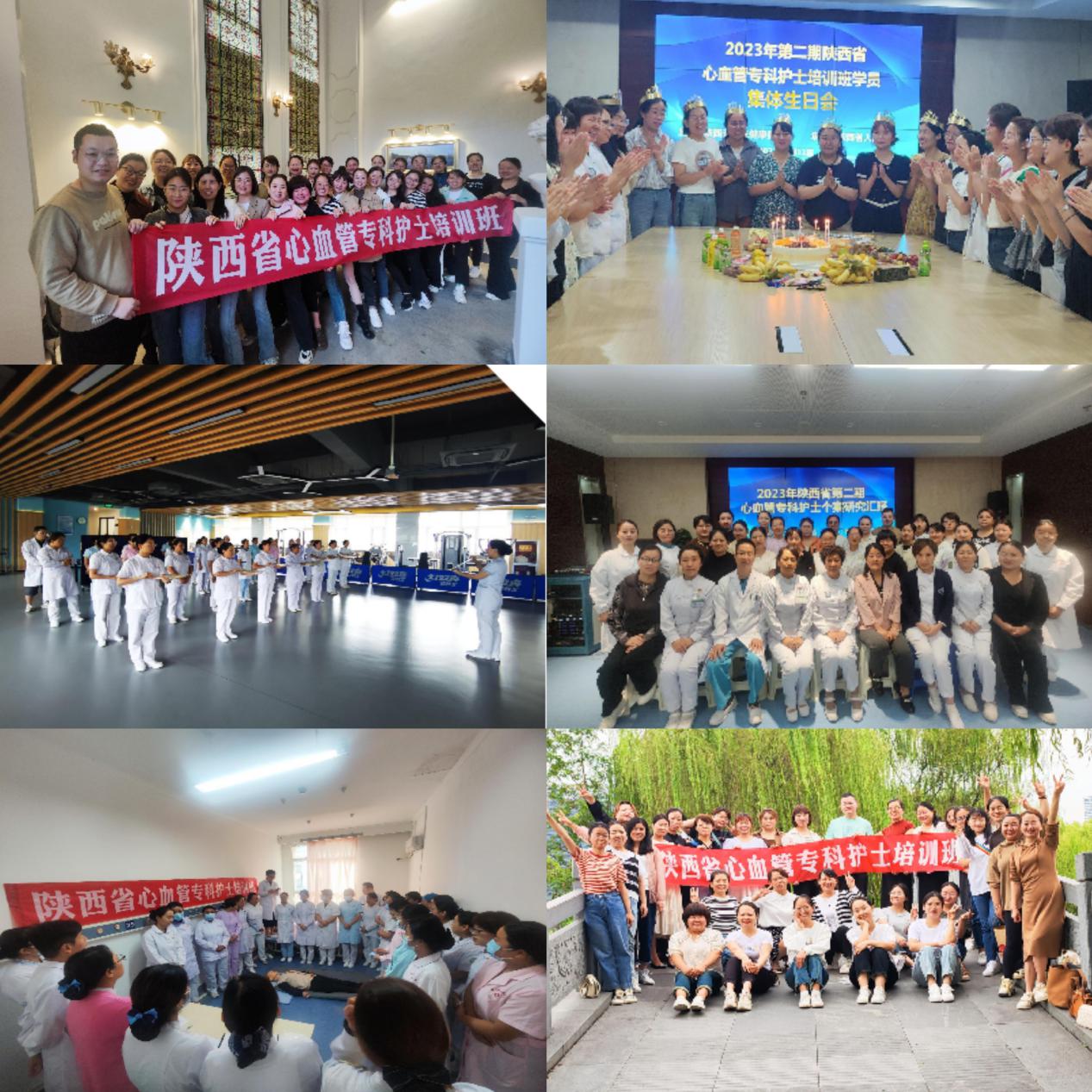 3ad06a7af5f9d39a1fbc69b8b3bc2df